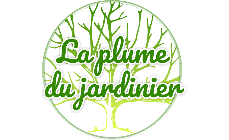 Devis création jardin en gazon à Montpellier