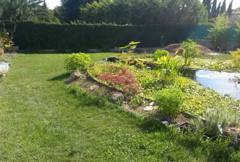 Aménagement petit jardin zen Pignan